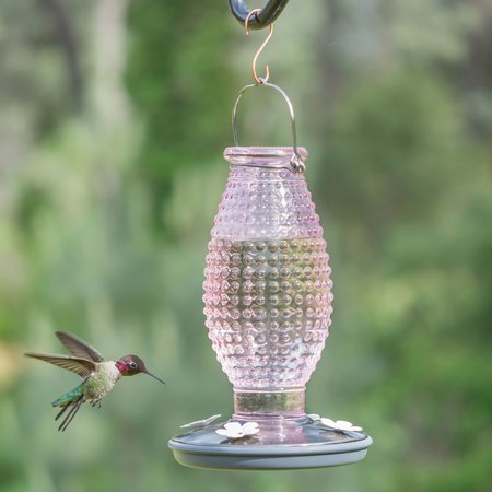 Perky-Pet Perky-Pet Hummingbird 16 oz Glass Nectar Feeder 4 ports 8131-2